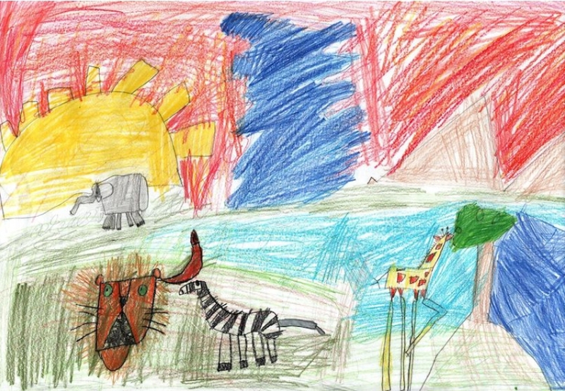 Ormanın Hayvanları