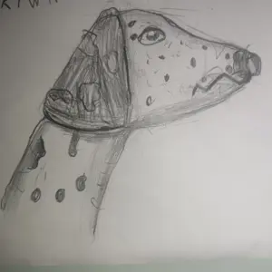 Rüyalar 