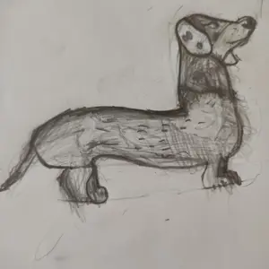 Rüyalar